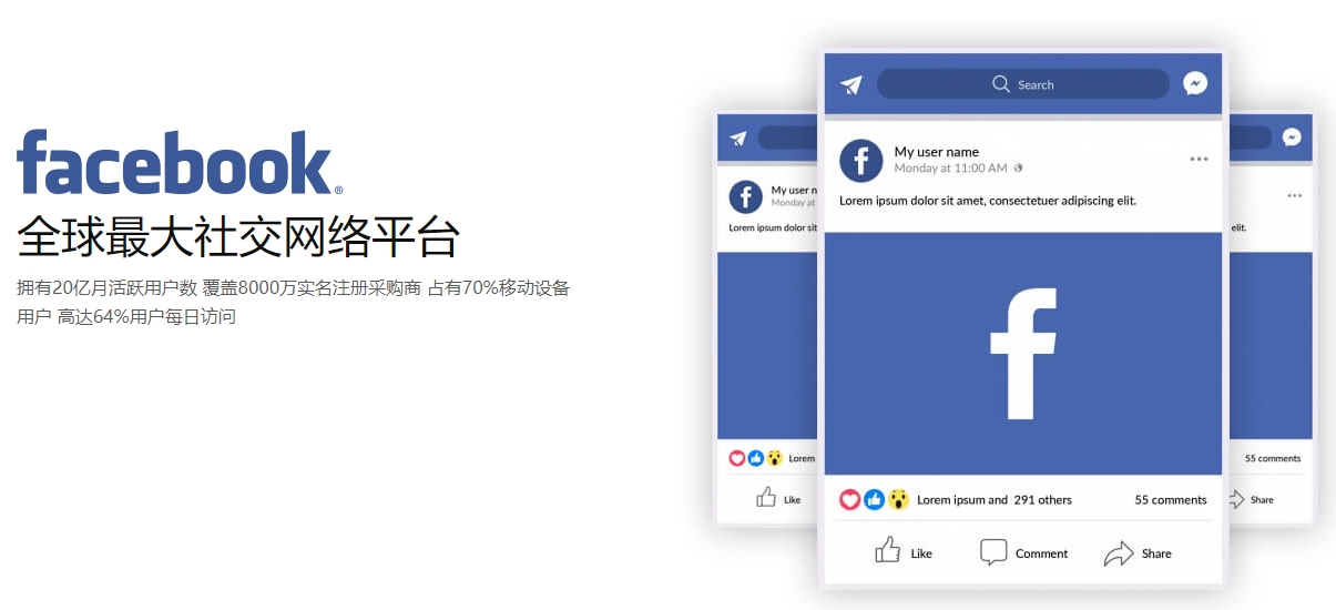 广州海外社交媒体营销  第1张